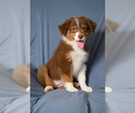 Image preview for Ad Listing. Nickname: Lilly
