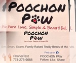Small #13 Poochon