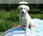 Image preview for Ad Listing. Nickname: Sea Salt Coast
