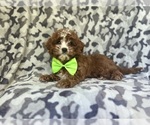 Image preview for Ad Listing. Nickname: Slick