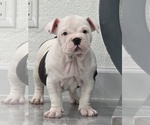 Image preview for Ad Listing. Nickname: Minnie