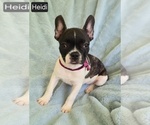 Image preview for Ad Listing. Nickname: Heidi