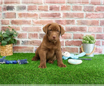 Image preview for Ad Listing. Nickname: Logan
