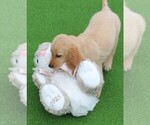 Image preview for Ad Listing. Nickname: Faith