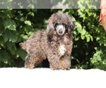 Image preview for Ad Listing. Nickname: Ice man
