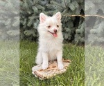 Image preview for Ad Listing. Nickname: Gideon