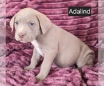 Image preview for Ad Listing. Nickname: Adalind
