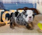 Image preview for Ad Listing. Nickname: neras BLK MER f