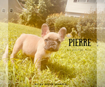 Image preview for Ad Listing. Nickname: Pierre