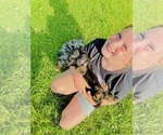 Image preview for Ad Listing. Nickname: Benny