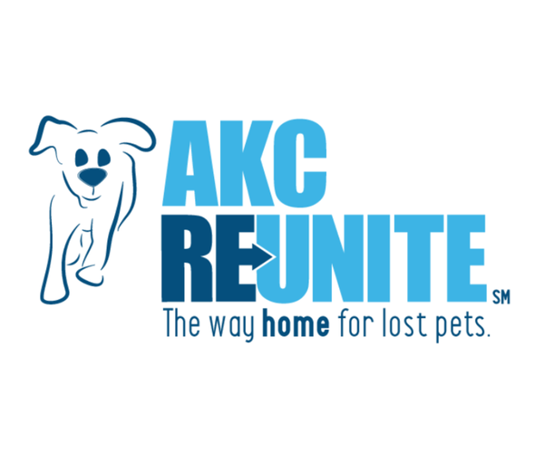 Medium Photo #4 Labrador Retriever Puppy For Sale in BROWNS VALLEY, CA, USA