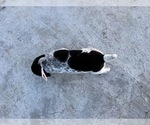  - Photo #2