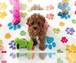 Image preview for Ad Listing. Nickname: Chase
