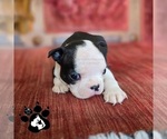 Image preview for Ad Listing. Nickname: CYANN