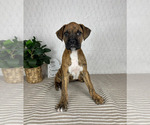 Image preview for Ad Listing. Nickname: Brooklyn