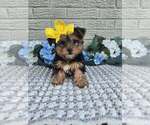 Image preview for Ad Listing. Nickname: Little Pippy