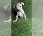 Image preview for Ad Listing. Nickname: Sky