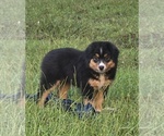 Image preview for Ad Listing. Nickname: Float