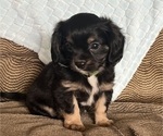 Puppy Buddy Chilier