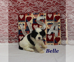 Image preview for Ad Listing. Nickname: Belle