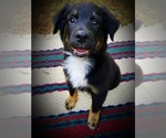 Image preview for Ad Listing. Nickname: Micah