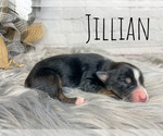 Image preview for Ad Listing. Nickname: Jillian