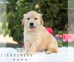 Image preview for Ad Listing. Nickname: Bree
