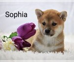 Image preview for Ad Listing. Nickname: Sophia
