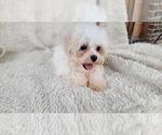 Image preview for Ad Listing. Nickname: Annie