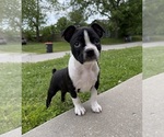 Image preview for Ad Listing. Nickname: Maya