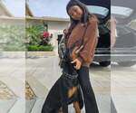 Small #14 Doberman Pinscher
