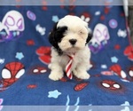 Image preview for Ad Listing. Nickname: Sullivan