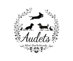 Image preview for Ad Listing. Nickname: Audets Litters