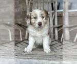 Image preview for Ad Listing. Nickname: Beauty