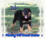 Image preview for Ad Listing. Nickname: Zeke