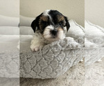 Image preview for Ad Listing. Nickname: Benny