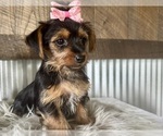 Image preview for Ad Listing. Nickname: Sage