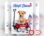 Small #1 Dachshund