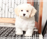 Small #1 Poovanese