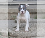 Image preview for Ad Listing. Nickname: Rose