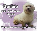 Small Shih-Poo