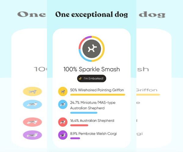 Medium Photo #3 Australian Shepherd-Unknown Mix Puppy For Sale in MIDWAY, UT, USA