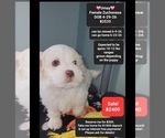 Image preview for Ad Listing. Nickname: Umay