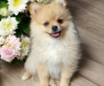 Image preview for Ad Listing. Nickname: July