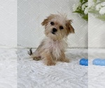 Image preview for Ad Listing. Nickname: Labubu