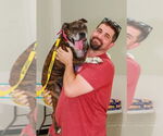 Small #1 Boxer Mix