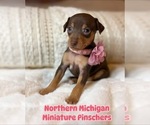 Image preview for Ad Listing. Nickname: Sweetheart