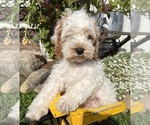 Image preview for Ad Listing. Nickname: Jenson