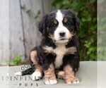 Image preview for Ad Listing. Nickname: Katrina