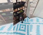 Small #3 Great Dane-Labrador Retriever Mix